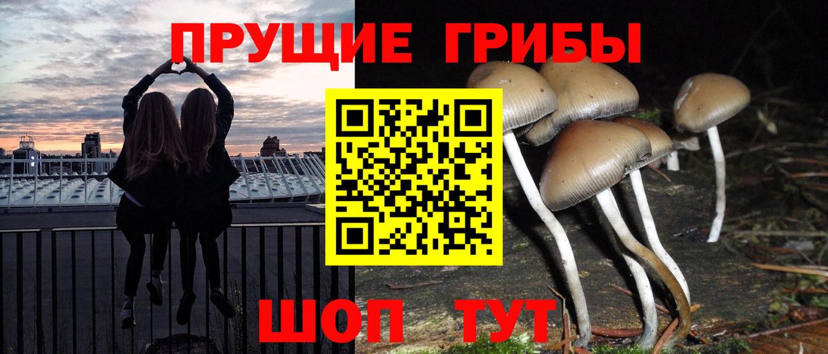 Псилоцибиновые грибы Cubensis  Вход с VPN  магазин    Советский 